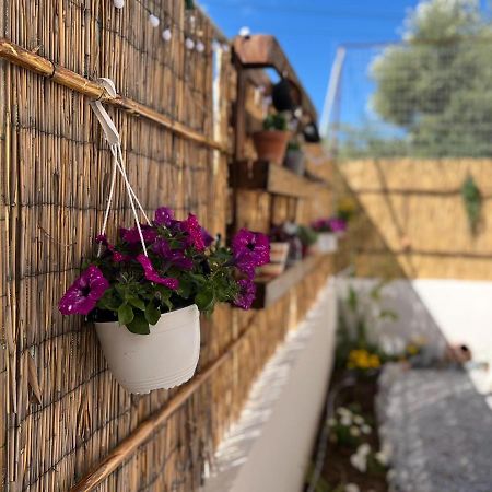Antigoni'S Studio Cozy Private Apartment Kíssamos Dış mekan fotoğraf