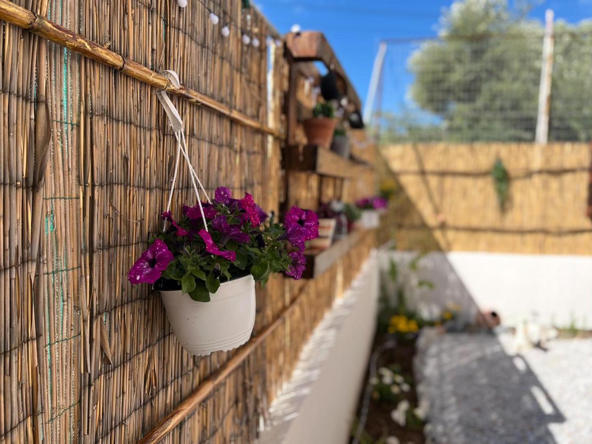 Antigoni'S Studio Cozy Private Apartment Kíssamos Dış mekan fotoğraf
